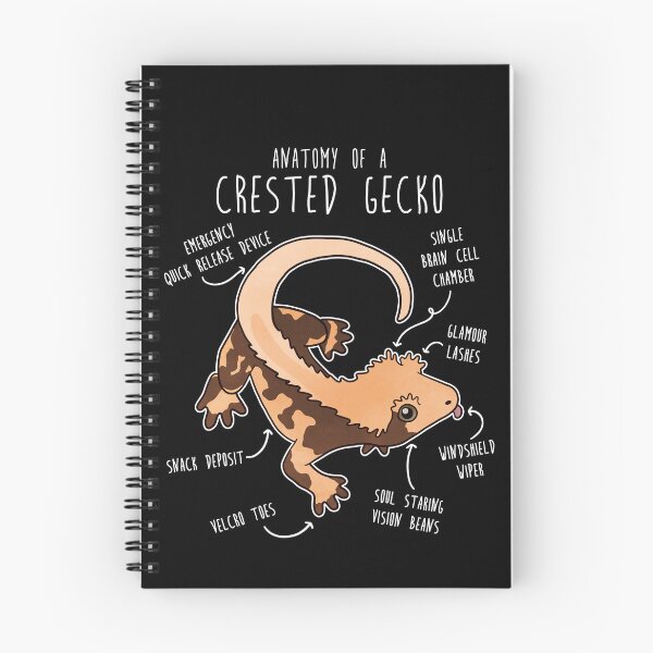 Item preview, Crested Gecko Lizard Reptile Anatomy designed and sold by Clara Hollins.