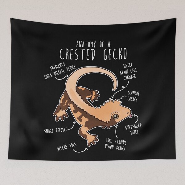 Item preview, Crested Gecko Lizard Reptile Anatomy designed and sold by Clara Hollins.