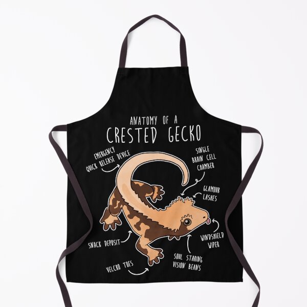Item preview, Crested Gecko Lizard Reptile Anatomy designed and sold by Clara Hollins.