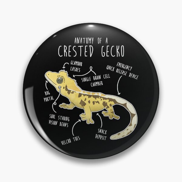 Item preview, Crested Gecko Lizard Reptile Anatomy designed and sold by Clara Hollins.