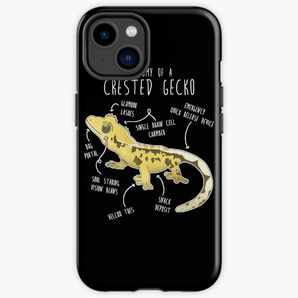 Crested Gecko Lizard Reptile Anatomy