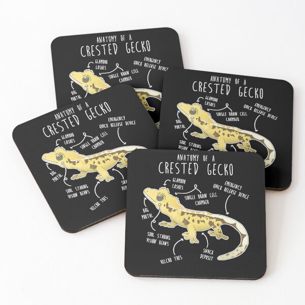 Item preview, Crested Gecko Lizard Reptile Anatomy designed and sold by Clara Hollins.