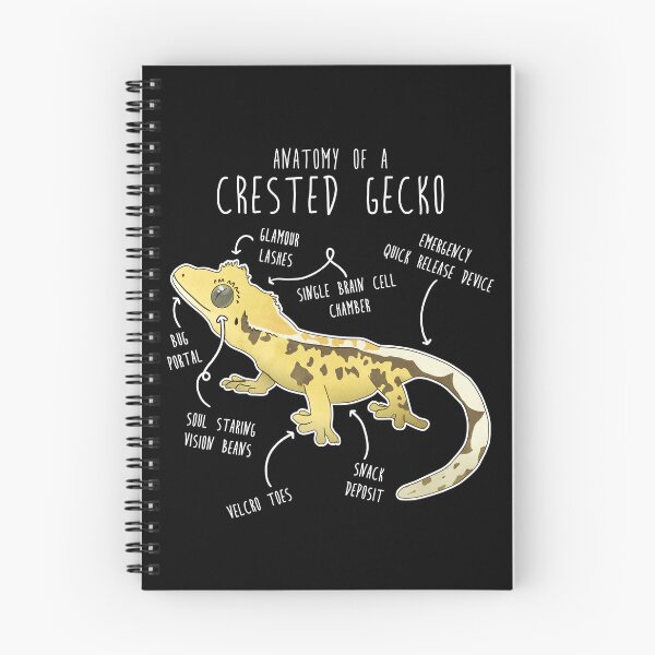 Item preview, Crested Gecko Lizard Reptile Anatomy designed and sold by Clara Hollins.