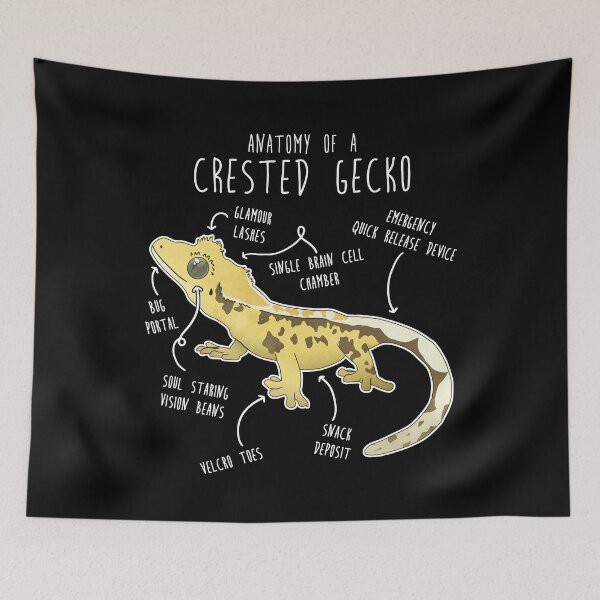 Item preview, Crested Gecko Lizard Reptile Anatomy designed and sold by Clara Hollins.