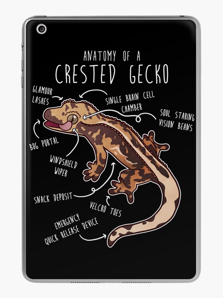 Crested Gecko Lizard Reptile Anatomy iPad Case & Skin for Sale by Clara  Hollins