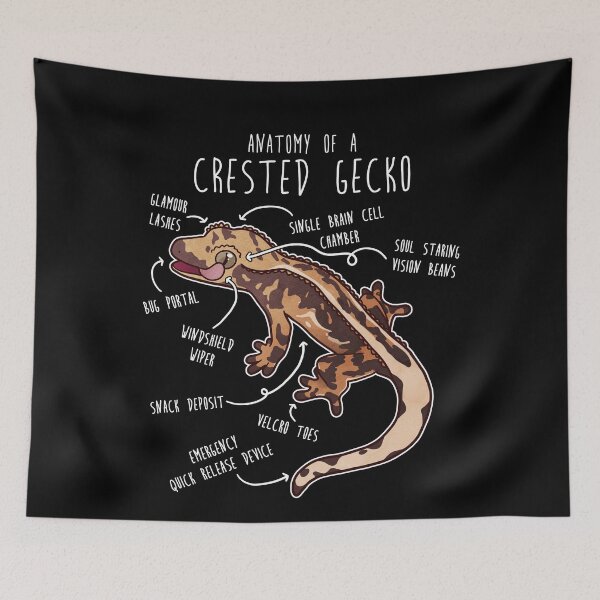Item preview, Crested Gecko Lizard Reptile Anatomy designed and sold by Clara Hollins.