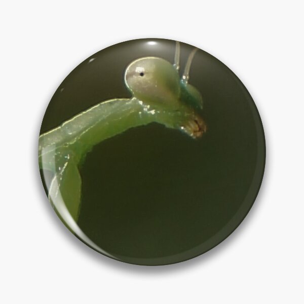 Item preview, Praying Mantis designed and sold by Angi Baker.