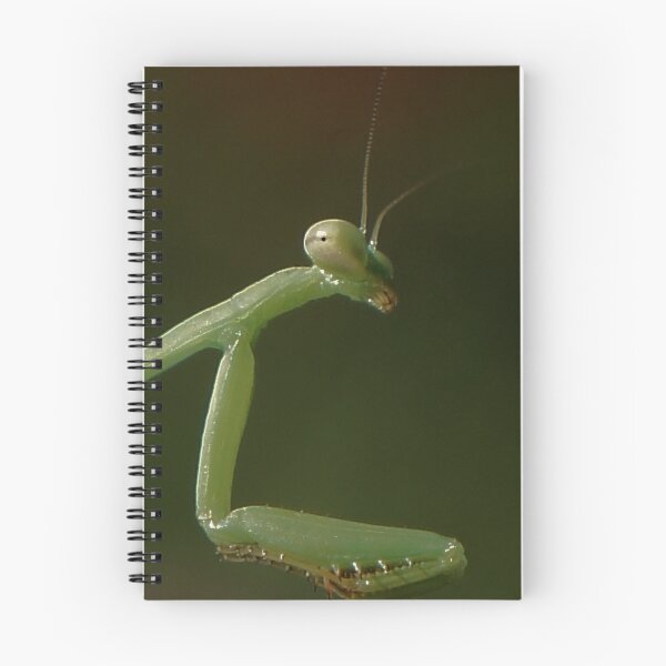 Item preview, Praying Mantis designed and sold by Angi Baker.