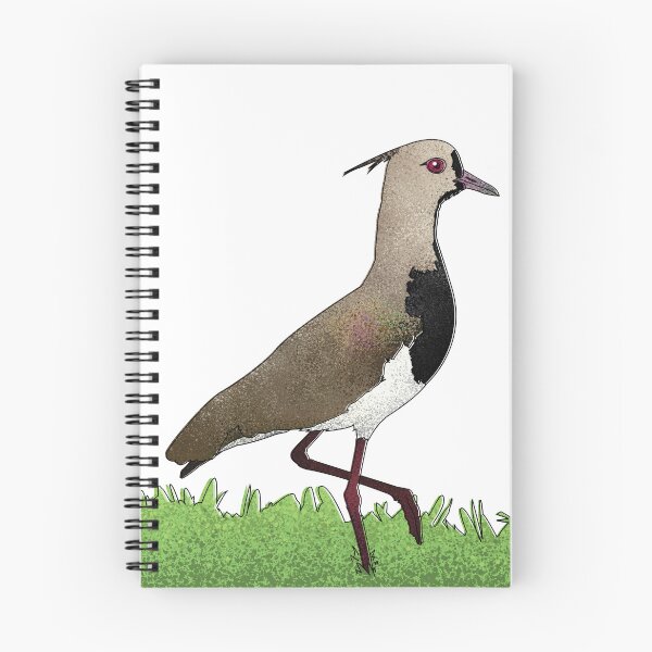 Item preview, Southern lapwing designed and sold by marivin.