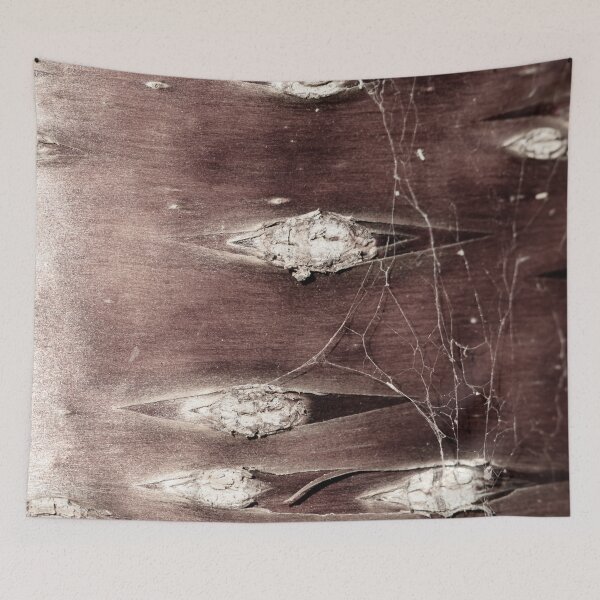 Item preview, Bark 3 designed and sold by Jacquiamber.