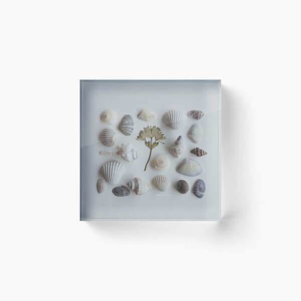 phillippa by p+h // Acrylic Block
