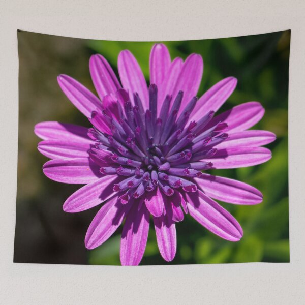 Item preview, River Daisy 4 designed and sold by Jacquiamber.