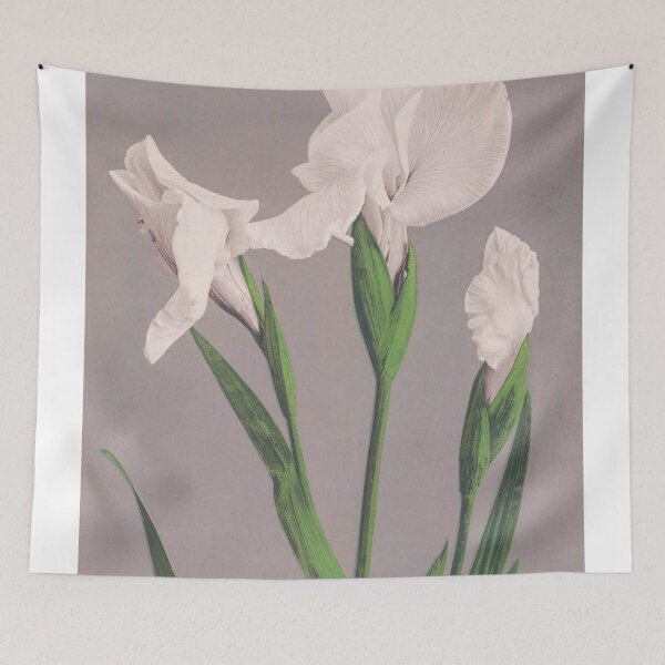 Item preview, Ogawa Kazumasa White Irises Flowers designed and sold by elvinjsiegel.