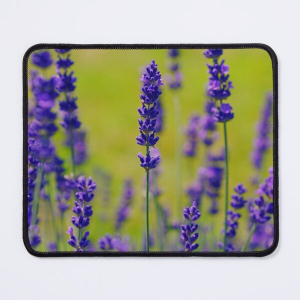 Item preview, pale shade of purple lilac in green field designed and sold by TheSeasonalYard.