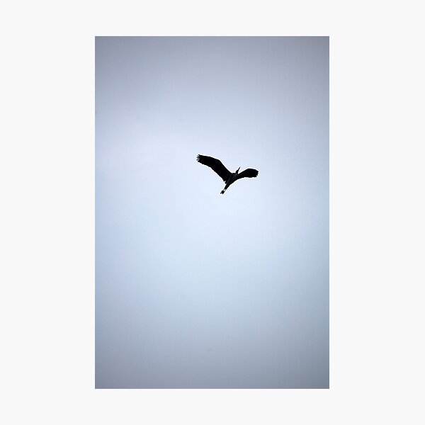 Item preview, heron in flight designed and sold by funkybunch.