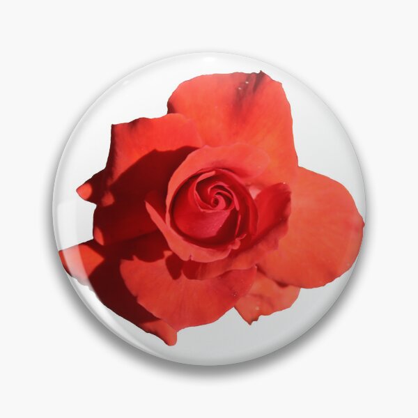 Item preview, Orange Rose designed and sold by STHogan2.