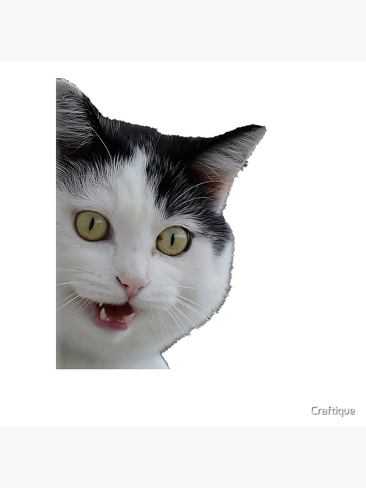 Funny and Silly Cat Face Pin for Sale by Craftique