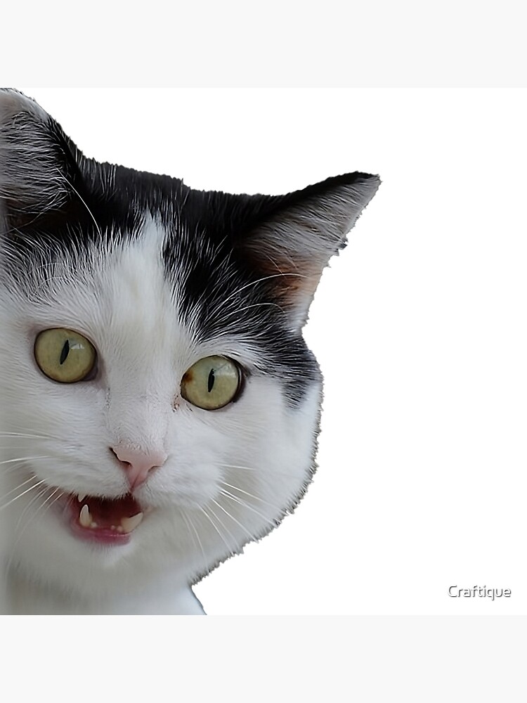 Funny and Silly Cat Face Art Board Print