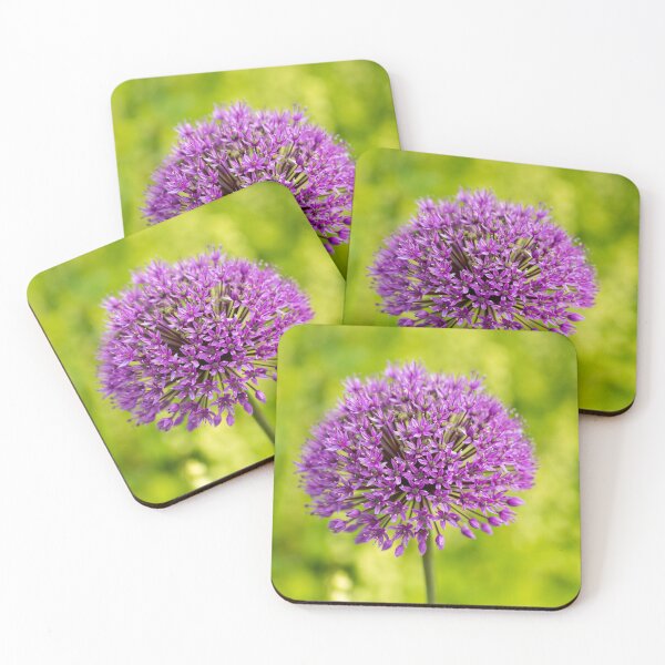 Artikelvorschau, Allium Cristophii entworfen und verkauft von Tanya C  Smith.