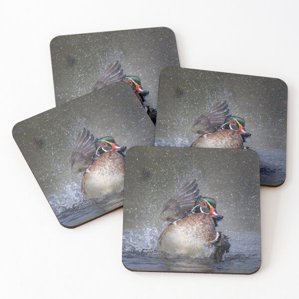 Item preview, Wood duck bathing and splashing designed and sold by James Cumming.