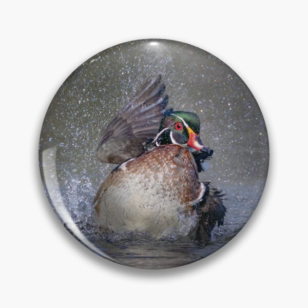 Item preview, Wood duck bathing and splashing designed and sold by James Cumming.