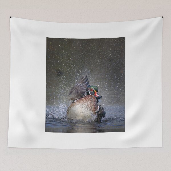 Item preview, Wood duck bathing and splashing designed and sold by James Cumming.