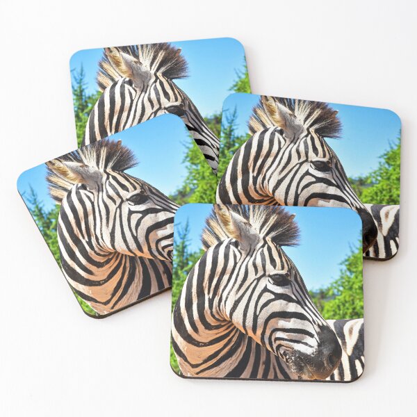 Item preview, Zebra Portrait | wildlife photography designed and sold by Mii-pics.