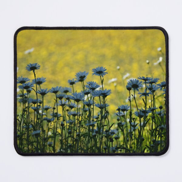 Item preview, A field of daisies designed and sold by Claude Laprise.