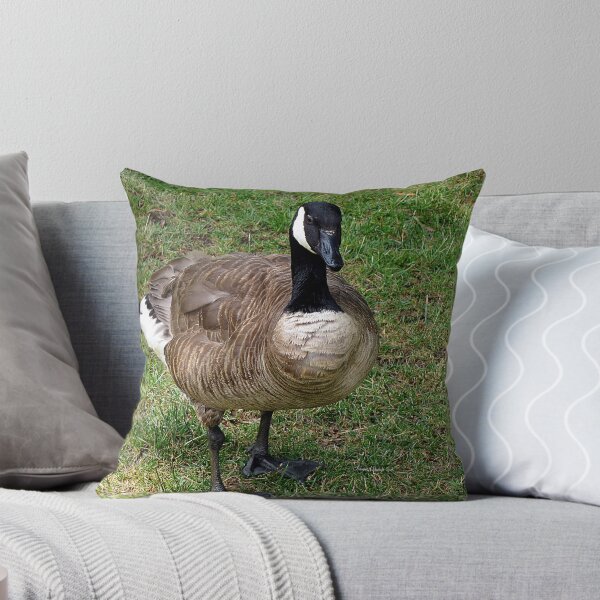 Item preview, branta canadensis ll designed and sold by LoreLeft27.