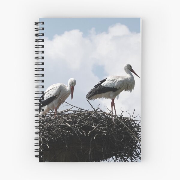 Item preview, Nesting stork pair designed and sold by Anirutgu.