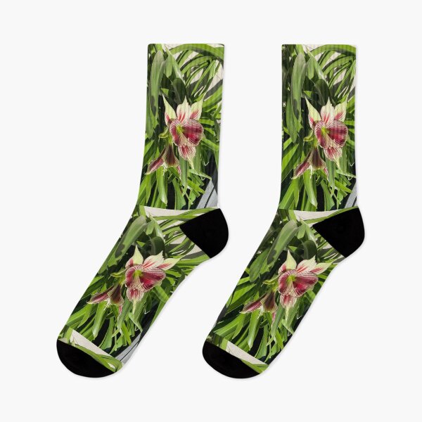 Item preview, Happy Hippy Fab Flowers designed and sold by KazM.