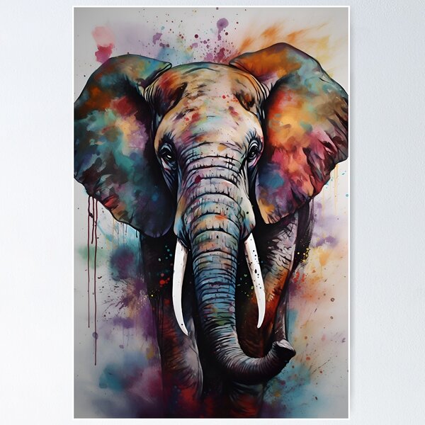 Colourful Elephant Wall Art for Sale