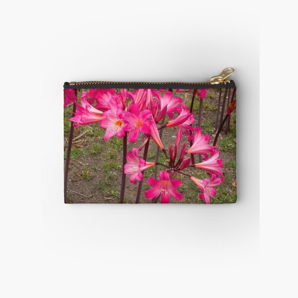 Item preview, Belladonnas, Berwick roadside, Australia. designed and sold by johnrf.