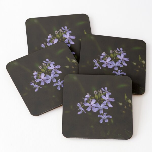 Item preview, Dark Soapwort designed and sold by CeeJBeeCreates.
