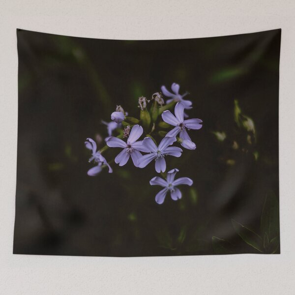 Item preview, Dark Soapwort designed and sold by CeeJBeeCreates.