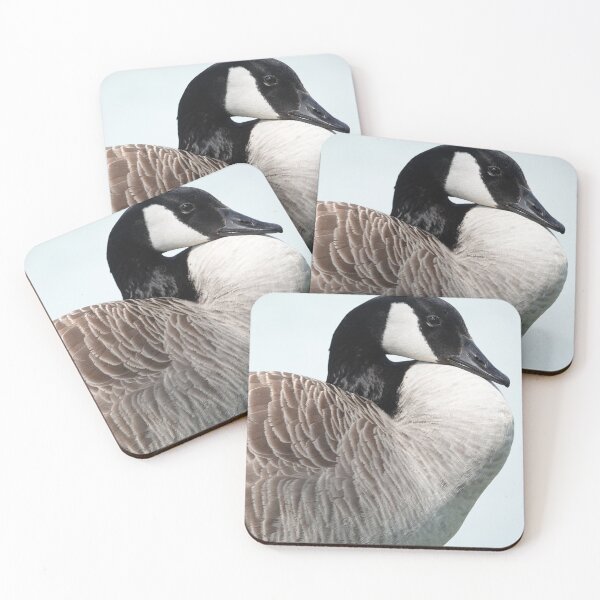 Item preview, A Canada goose designed and sold by Anirutgu.