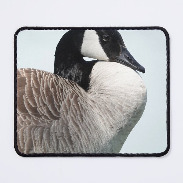 Item preview, A Canada goose designed and sold by Anirutgu.
