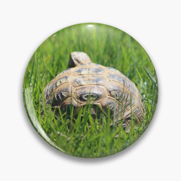 Item preview, Tortoise in the Grass designed and sold by LisaNaturePhoto.