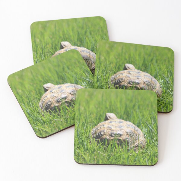 Item preview, Tortoise in the Grass designed and sold by LisaNaturePhoto.