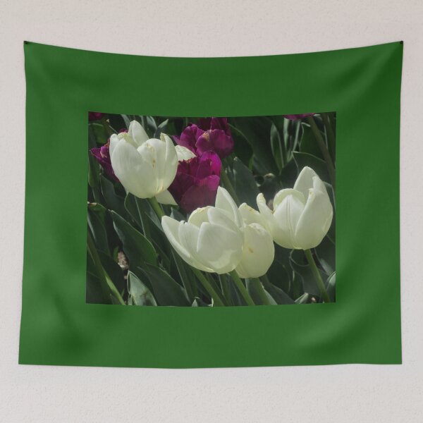 Item preview, White and purple tulips designed and sold by Shulie1.