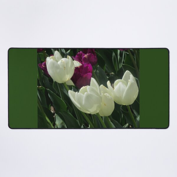 Item preview, White and purple tulips designed and sold by Shulie1.