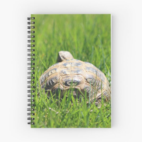 Item preview, Tortoise in the Grass designed and sold by LisaNaturePhoto.