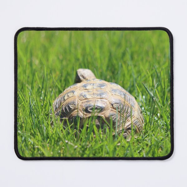 Item preview, Tortoise in the Grass designed and sold by LisaNaturePhoto.