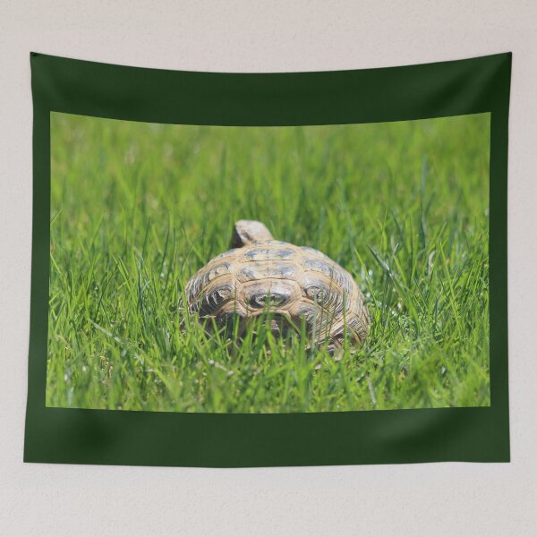 Item preview, Tortoise in the Grass designed and sold by LisaNaturePhoto.