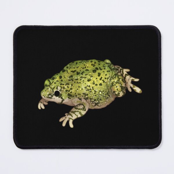 Item preview, Cozy Western Green Toad designed and sold by Phoenix of Starlight.