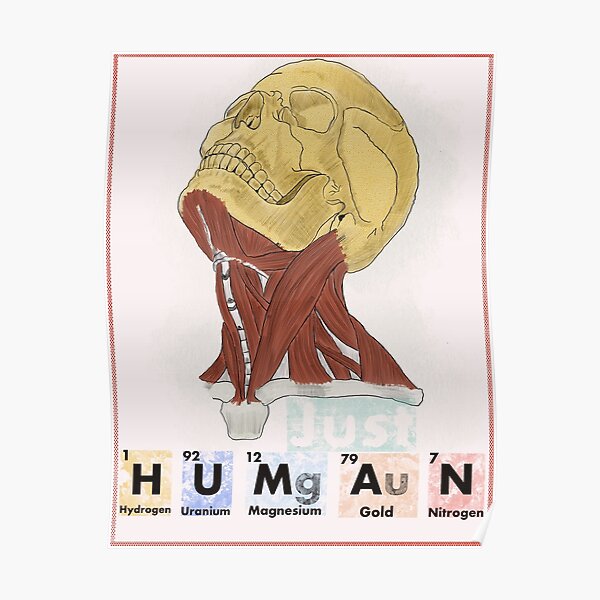 humain,élément,bloc de construction,atome,chimie,science,poussière d'étoiles,vie,terre,combinaison,cycle,faire de nous Poster