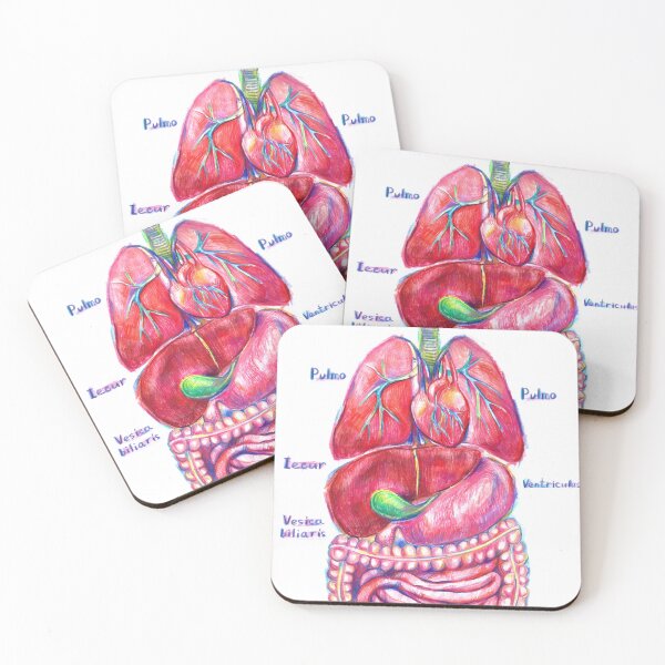 Item preview, Human anatomy designed and sold by bokasin.