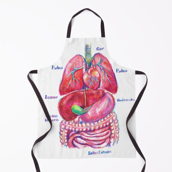 Item preview, Human anatomy designed and sold by bokasin.