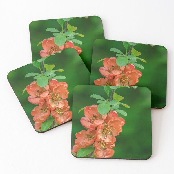 Item preview, Pretty Japanese Quince designed and sold by Gerda Grice Photography.