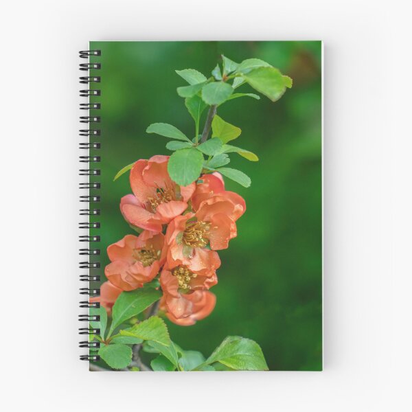 Item preview, Pretty Japanese Quince designed and sold by Gerda Grice Photography.
